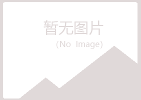 河池欢心工程有限公司